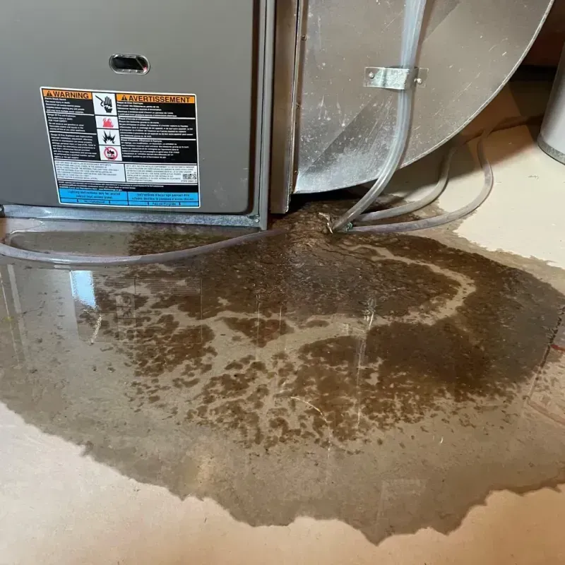 Appliance Leak Cleanup in Coleraine, MN